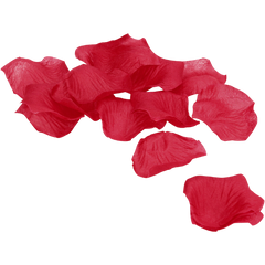 Collection image for: Kadootjes